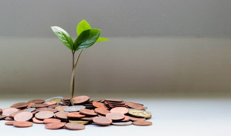 MXRF11: Quanto Investir Para Ganhar R$ 3.000 por Mês em Dividendos? Simulação Completa